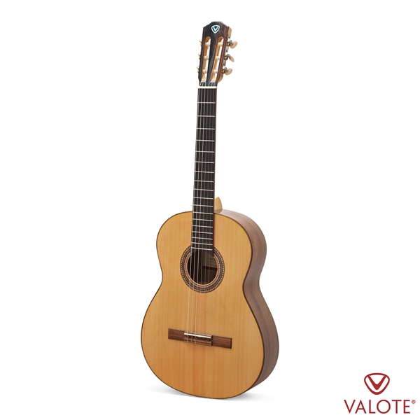Guitar Classic VALOTE VC­301FB